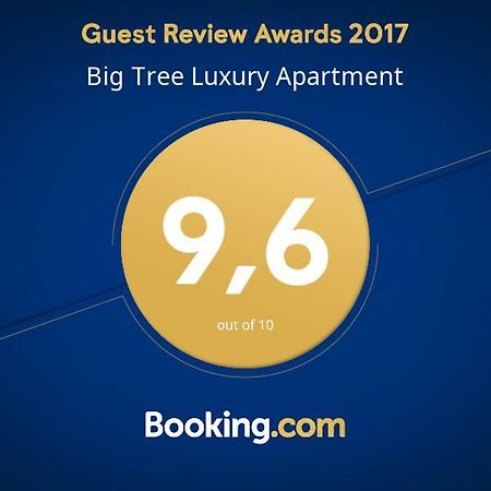 Big Tree Luxury Apartment Rome Bagian luar foto
